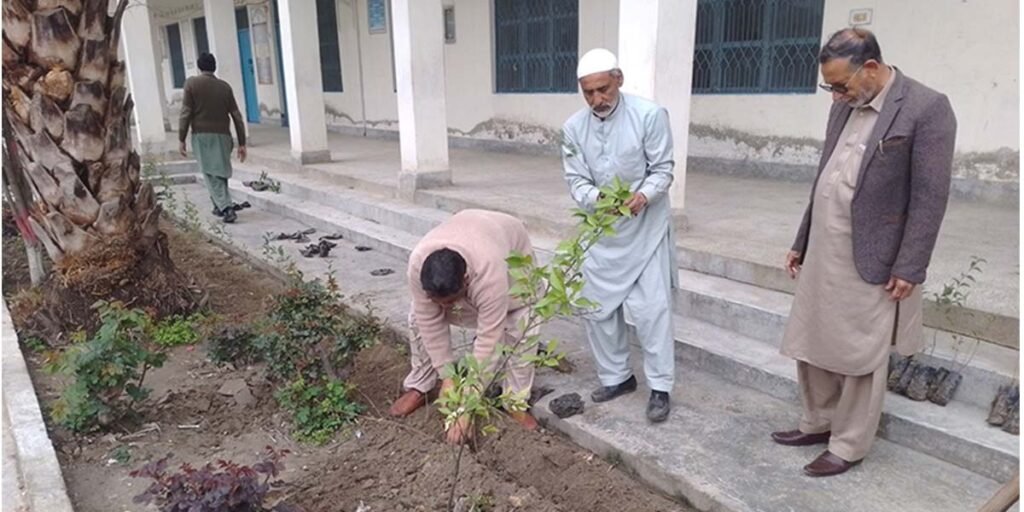 KP govt to run tree plantation drive in urban areas