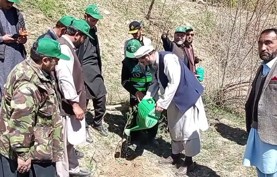 Spring tree plantation drive launched in Chitral