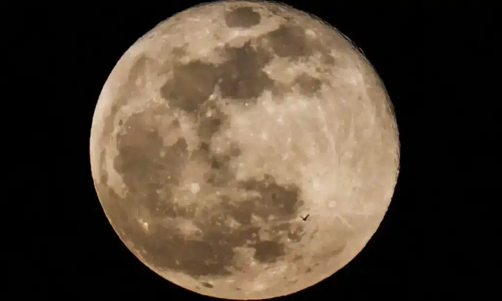 Pink Moon