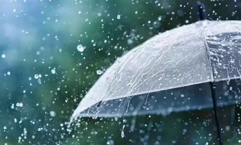 Upper parts of Kp receives fresh spell of snowfall, rain