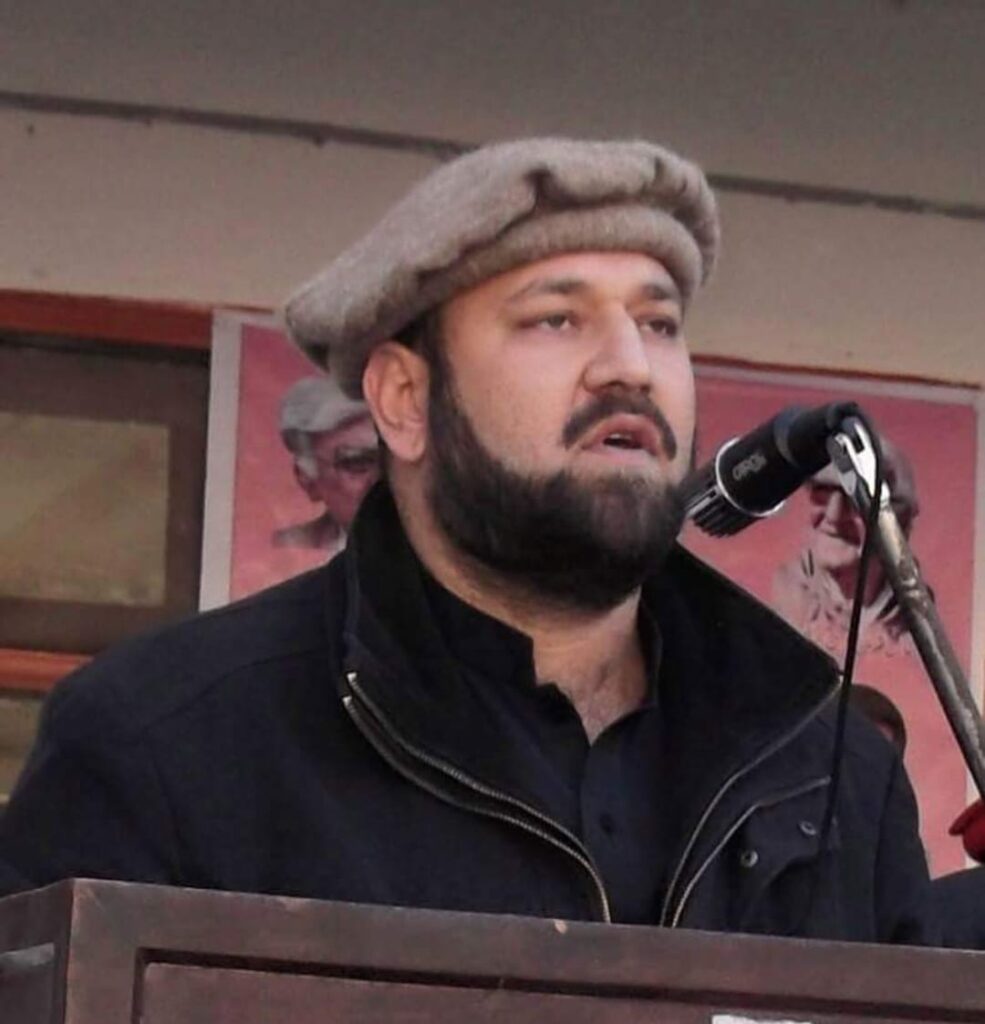 AG office, auditor general, finance department equally responsible for Kohistan financial scandal: MPA Sajjadullah at PAC