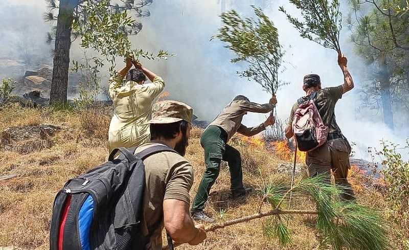 Swat administration imposes section 144 to prevent forest fires