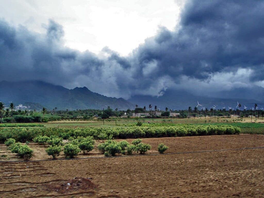 PDMA prepares and formally issues Monsoon 'Contingency Plan 2025'