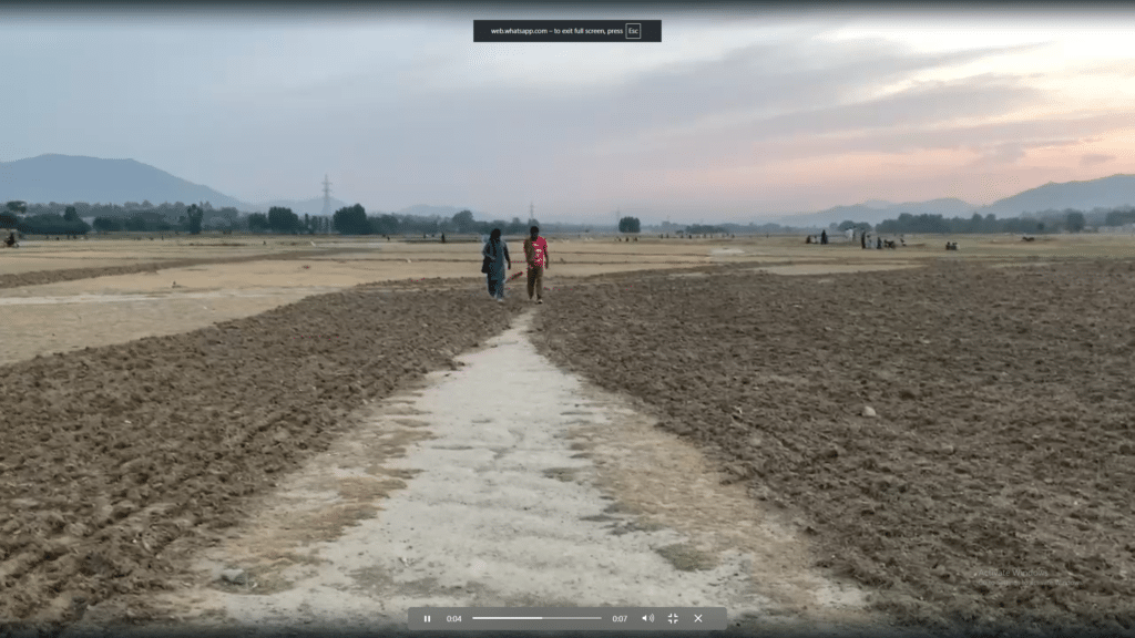 Bajaur’s Jaar Cricket Ground Erased for Agriculture, Locals Demand Replacement