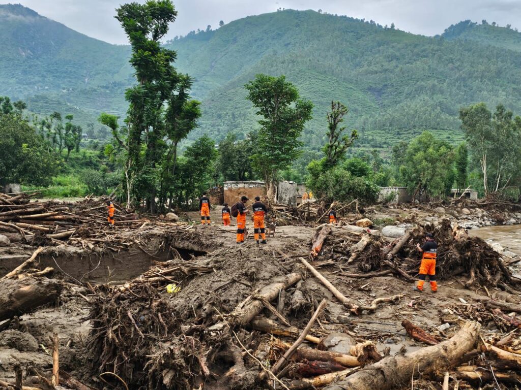 International donors appealed