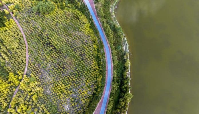 China announces long-term strategy for healthy living environments