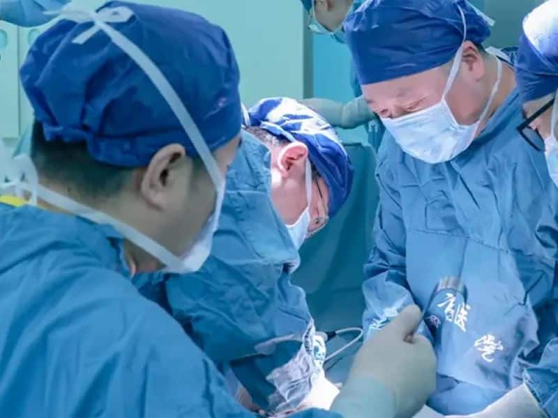 lungs transplant
