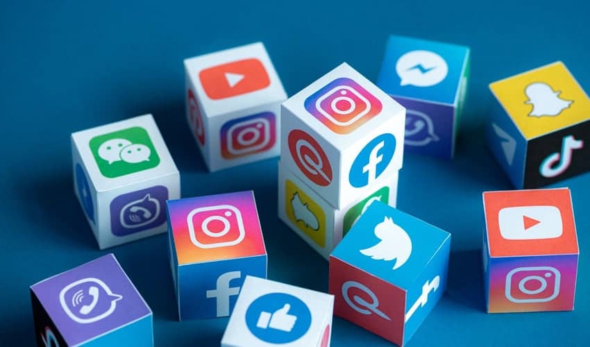 social media users