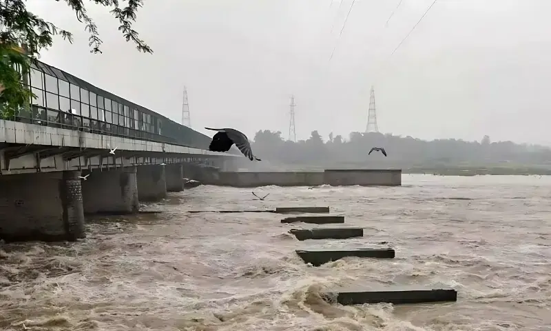 flood
